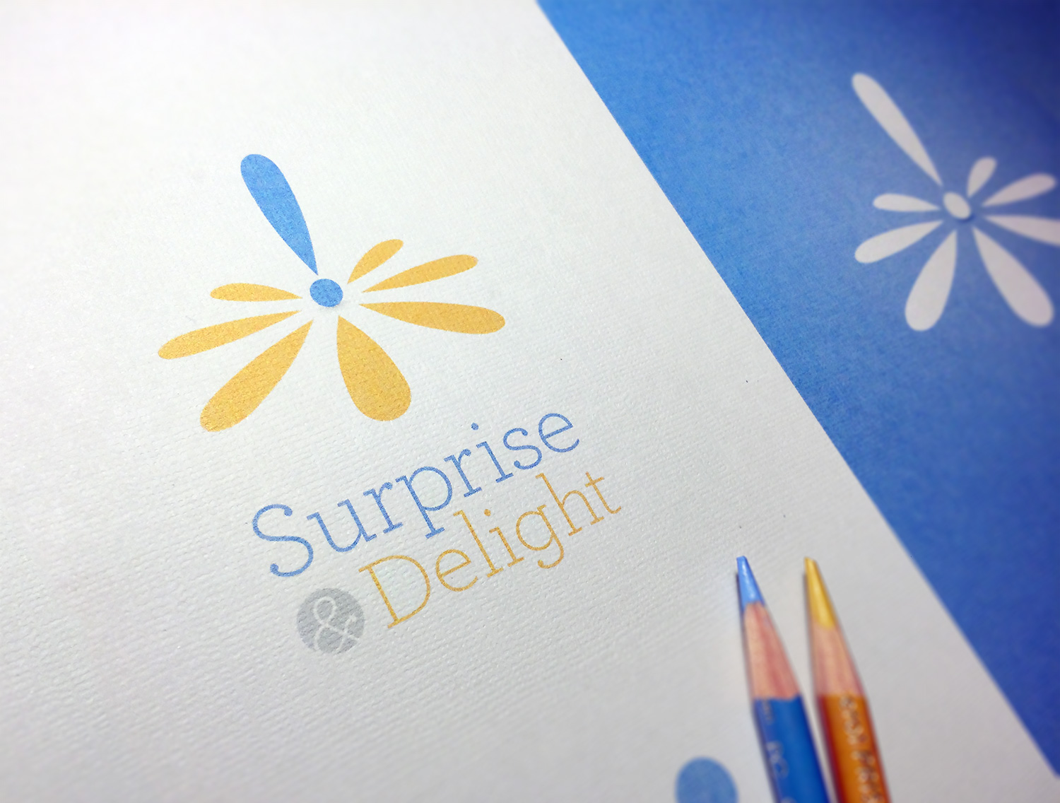 Surprise and Delight Brand Identity